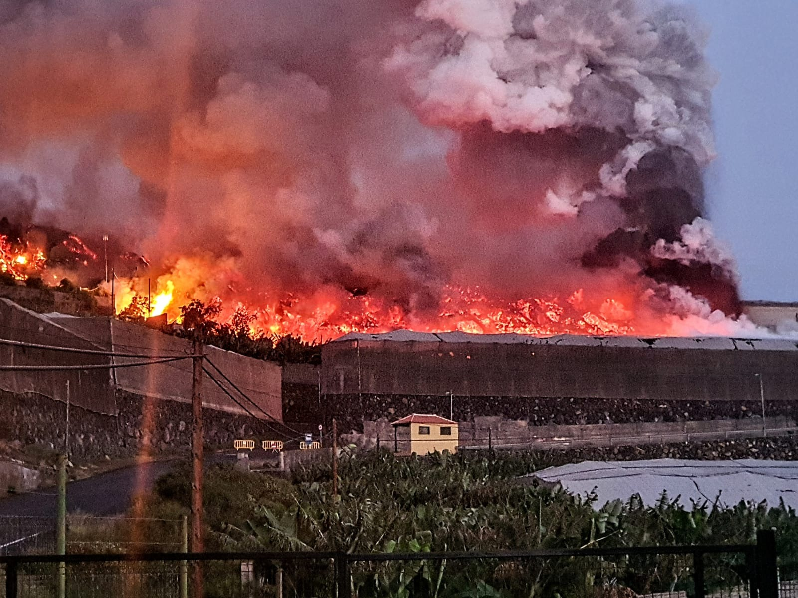 La Palma Feuersbrunst